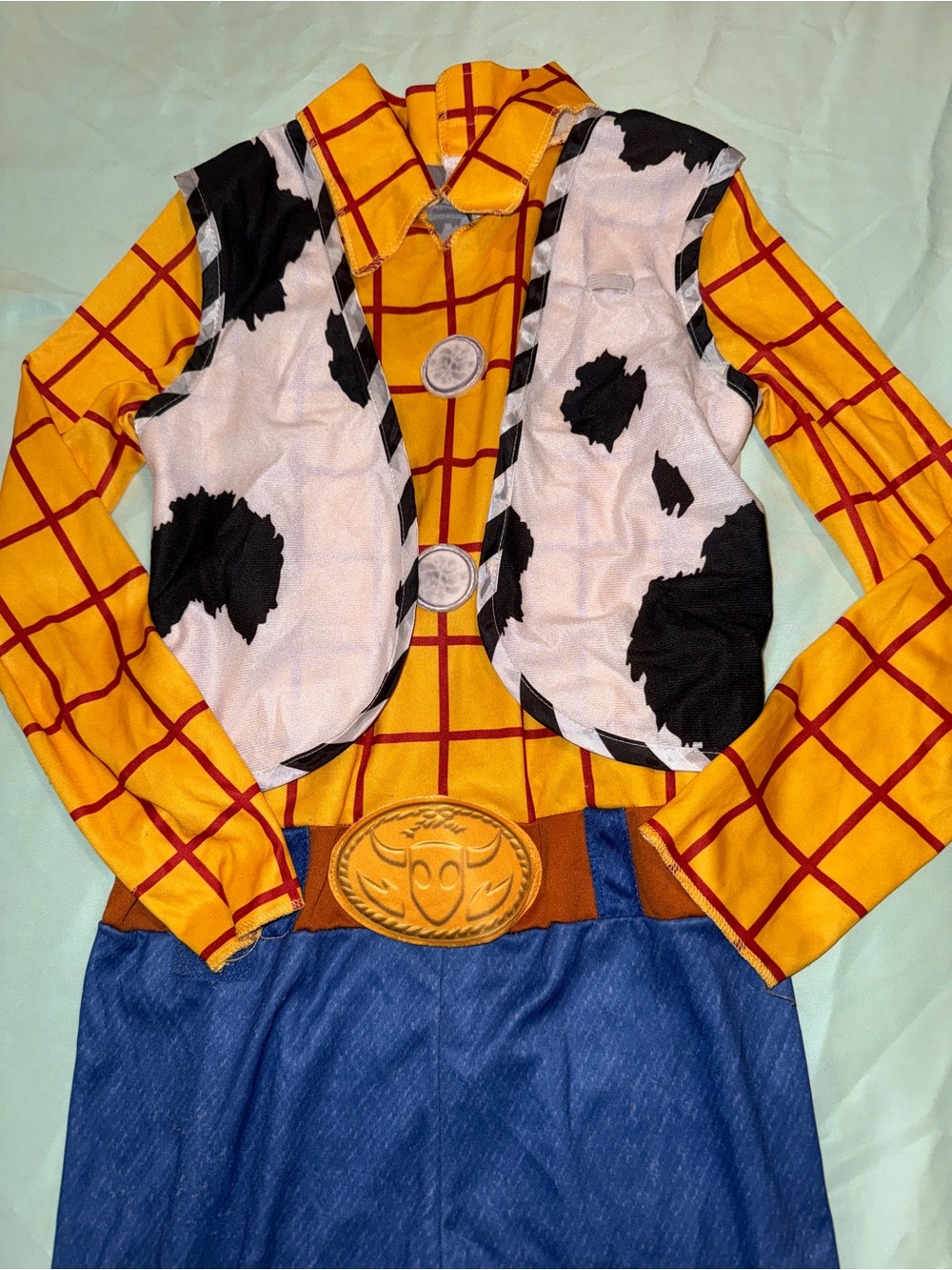 Disney Pixar Boys Woody Toy Story Costume Set with Hat Sz Med (8/10)
VGUC - Picture 3 of 5
